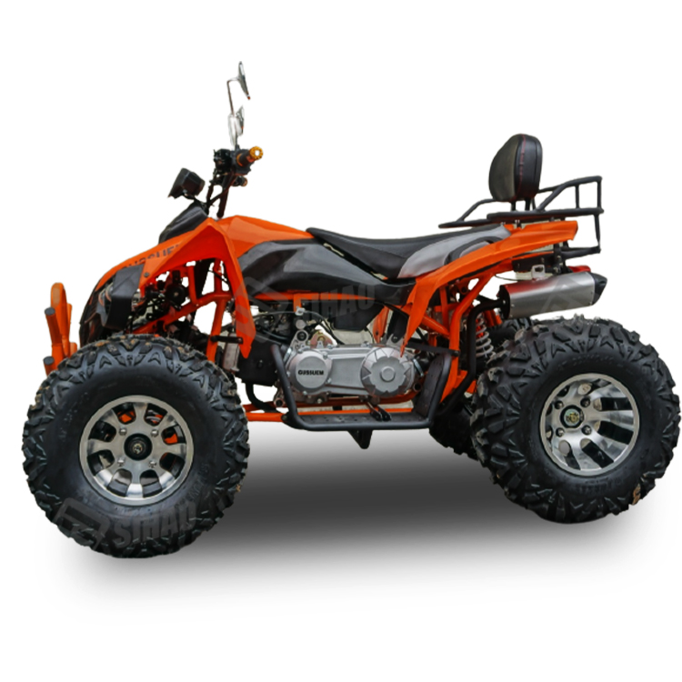 250cc газовый квадроцикл с цеп – обзор и цена Atv 250Cc 4 Stroke