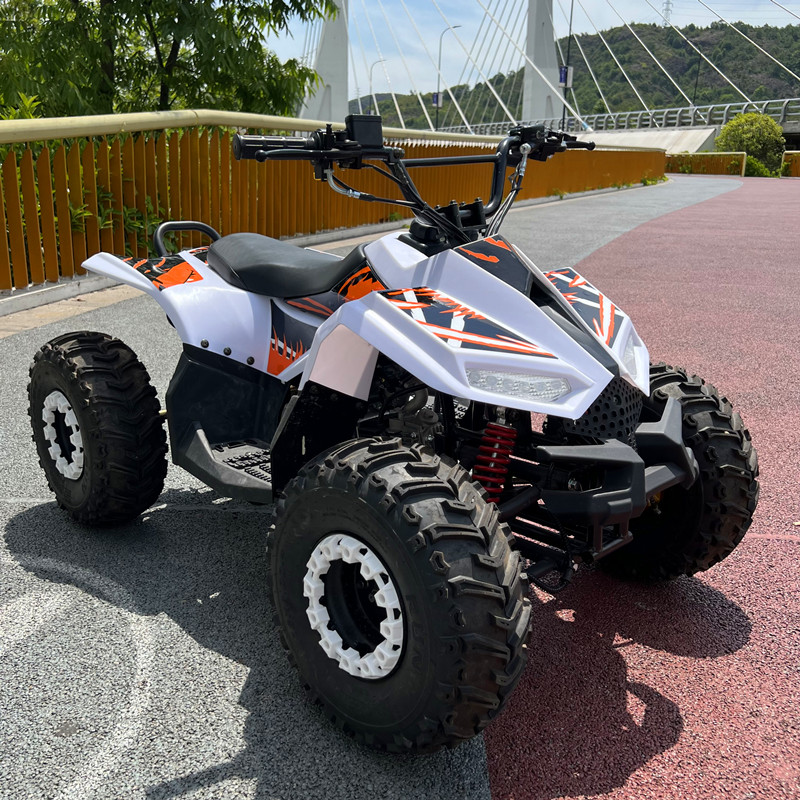 Внедорожный квадроцикл на 4 ко – обзор и цена Electric Utv 4 Seater