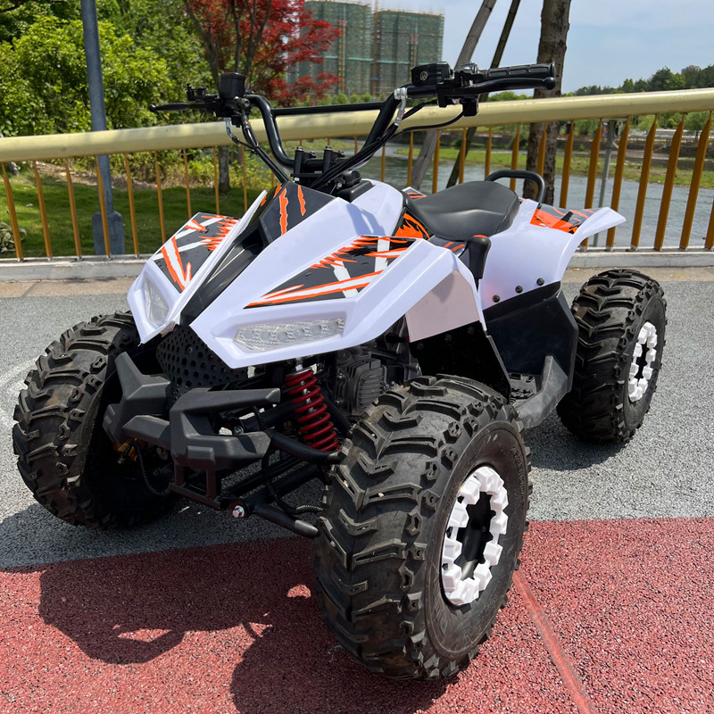 Внедорожный квадроцикл на 4 ко – обзор и цена Electric Utv 4 Seater