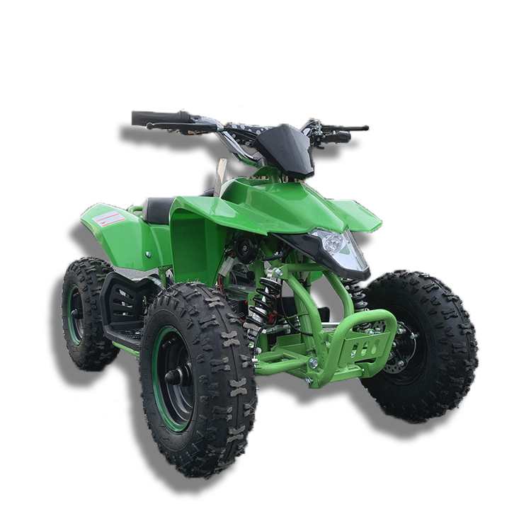 Высокое качество внедорожный 4 – обзор и цена Electric Atv 4 Wheel 1000W