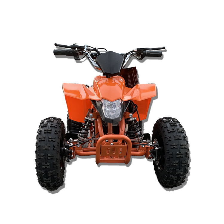 Высокое качество внедорожный 4 – обзор и цена Electric Atv 4 Wheel 1000W