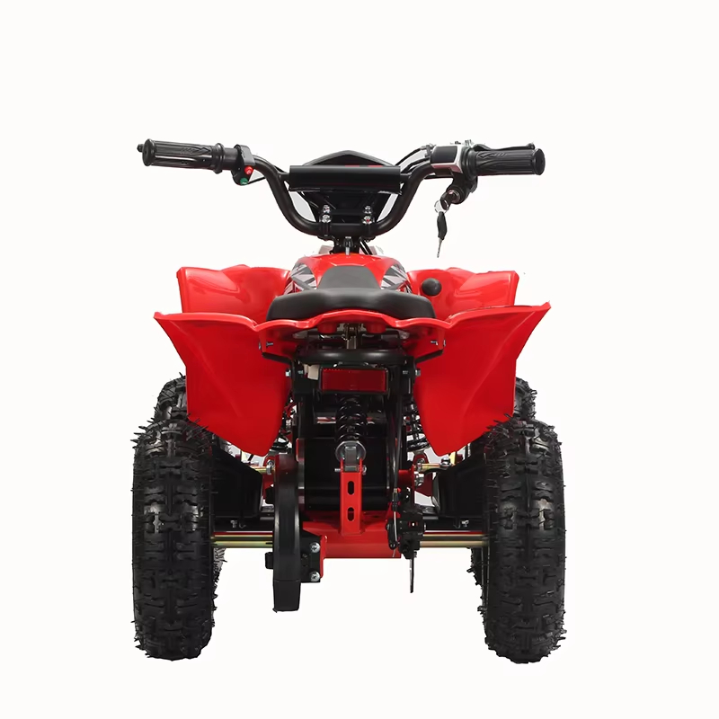 Самый популярный 4-колесный вн – обзор и цена Electric Atv 4 Wheel 1000W