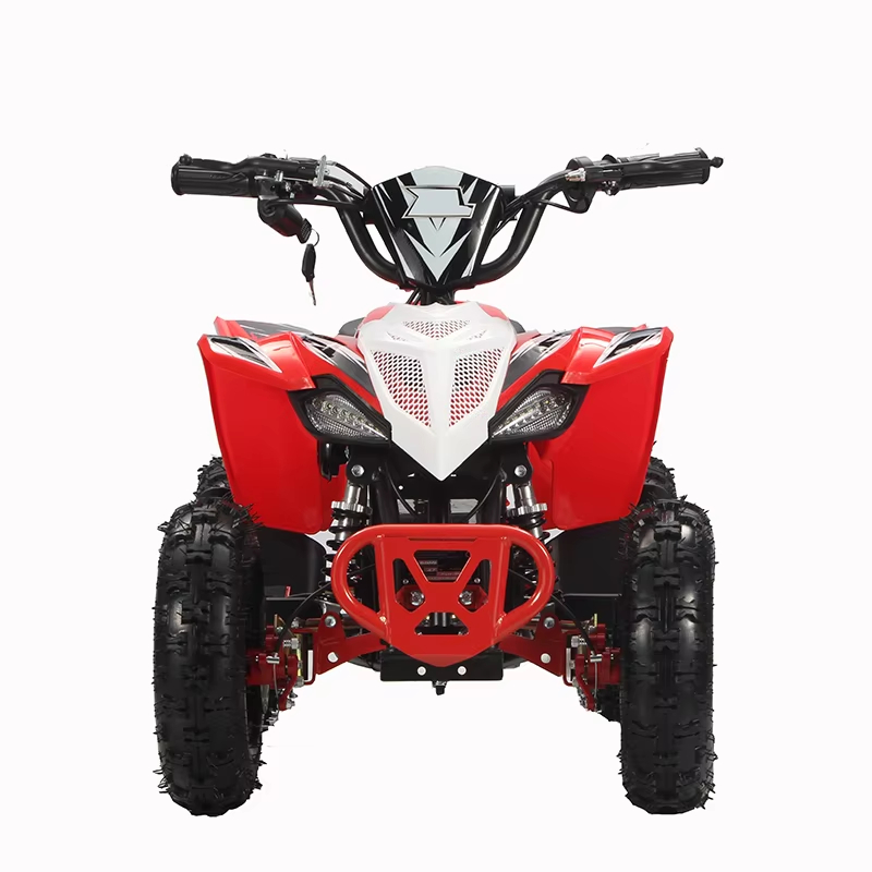 Самый популярный 4-колесный вн – обзор и цена Electric Atv 4 Wheel 1000W