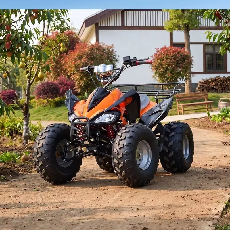 Умный цифровой электрический к – обзор и цена Electric Atv Battery 60V 20Ah