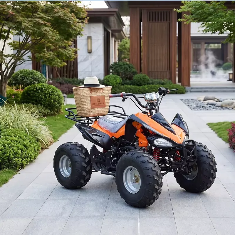Умный цифровой электрический к – обзор и цена Electric Atv Battery 60V 20Ah