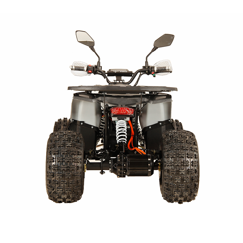 Новые мощные квадроциклы для в – обзор и цена Electric Atv 4 Wheel 1000W
