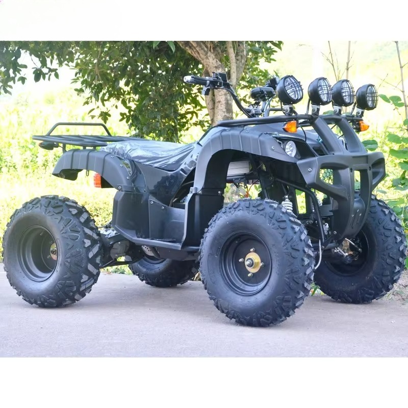 Электрический квадроцикл 2000  – обзор и цена Electric Quad Bike 2000W