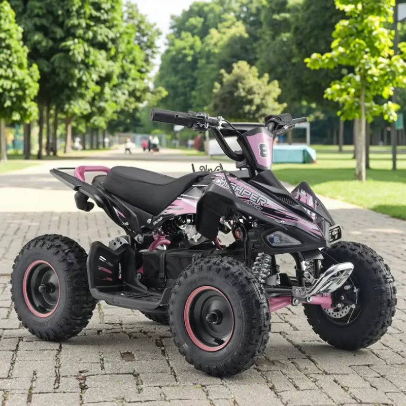 Электрический квадроцикл (ATV) – обзор и цена Electric Atv 4 Wheel 1000W