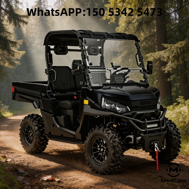 2/4-местный электрический багг – обзор и цена Electric Utv 4 Seater