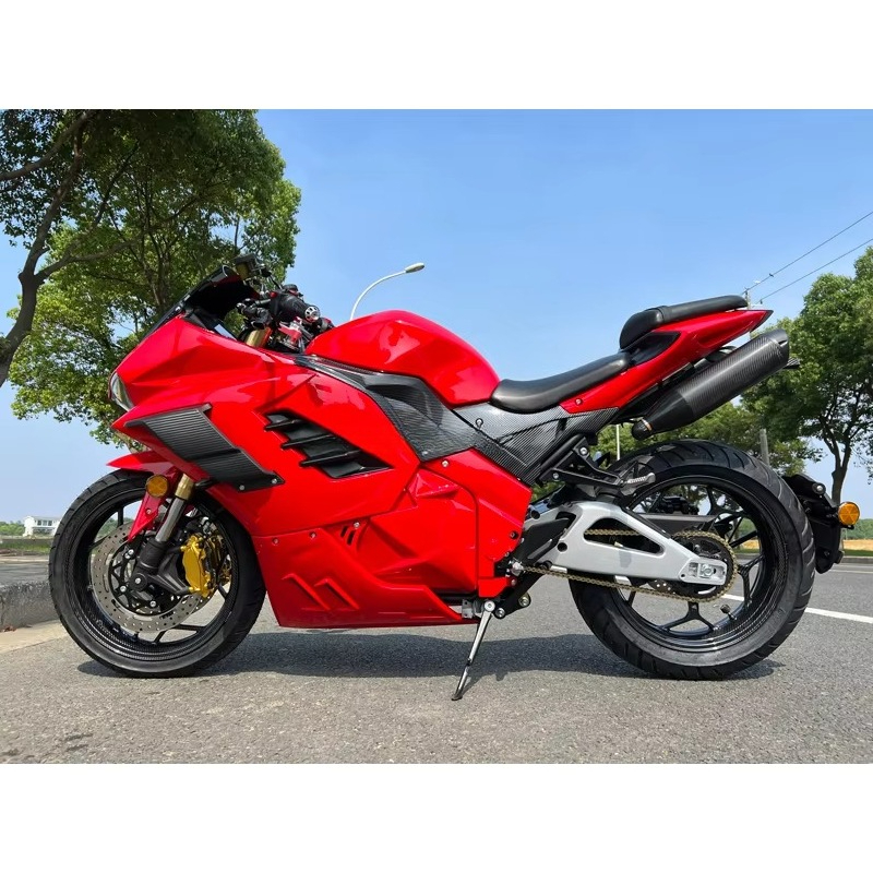 Новый стильный электрический с – обзор и цена Electric Motorcycle 5000W